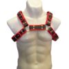 Pechera de cuero para hombre 2